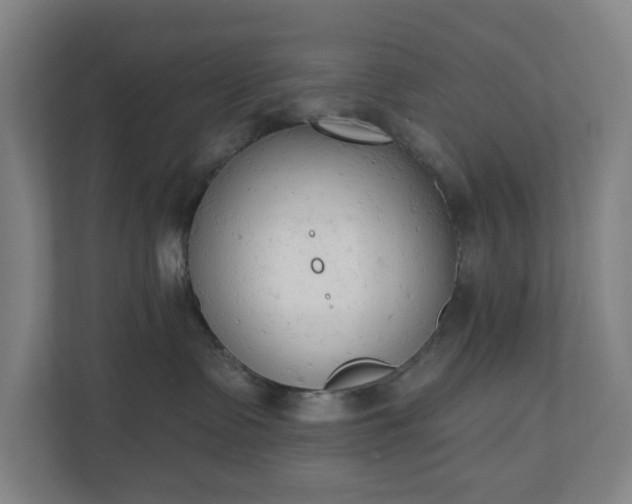 X0000110740335200906221033