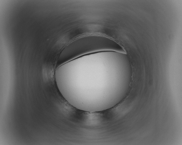 X0000110740336200906221033
