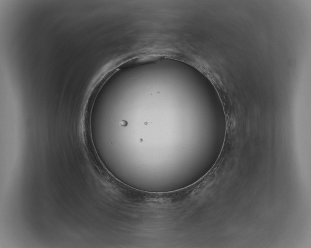 X0000110740340200906221033