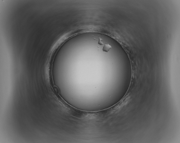 X0000110740341200906221033
