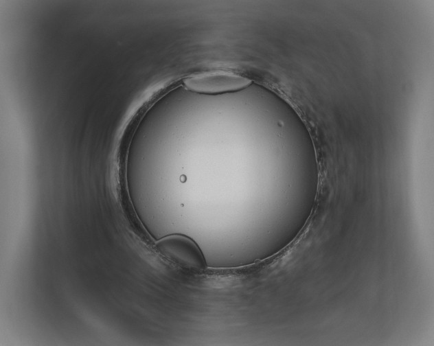 X0000110740342200906221033
