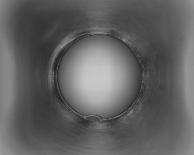 X0000110740343200906221033