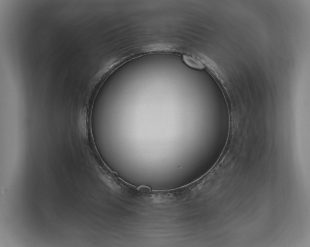 X0000110740345200906221033