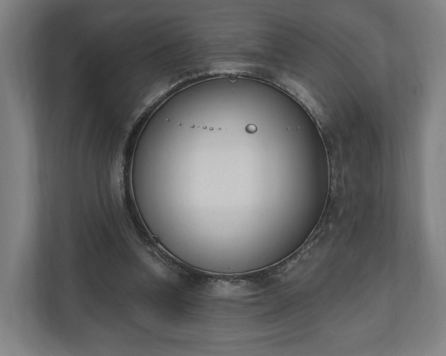 X0000110740346200906221033