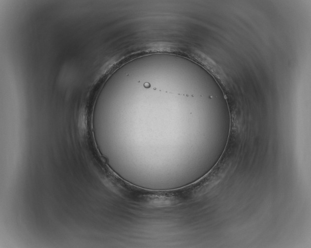 X0000110740347200906221033