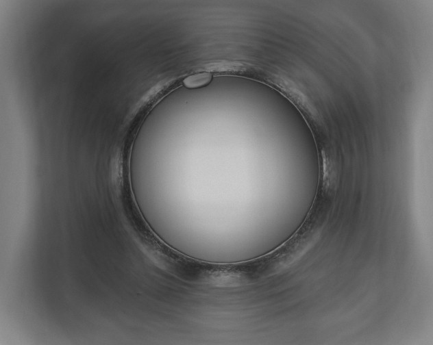 X0000110740348200906221033