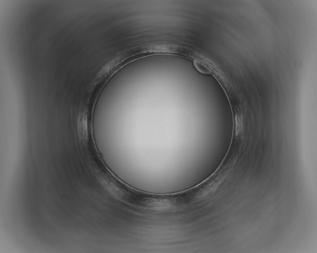 X0000110740349200906221033