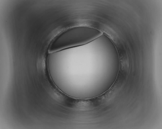 X0000110740350200906221033