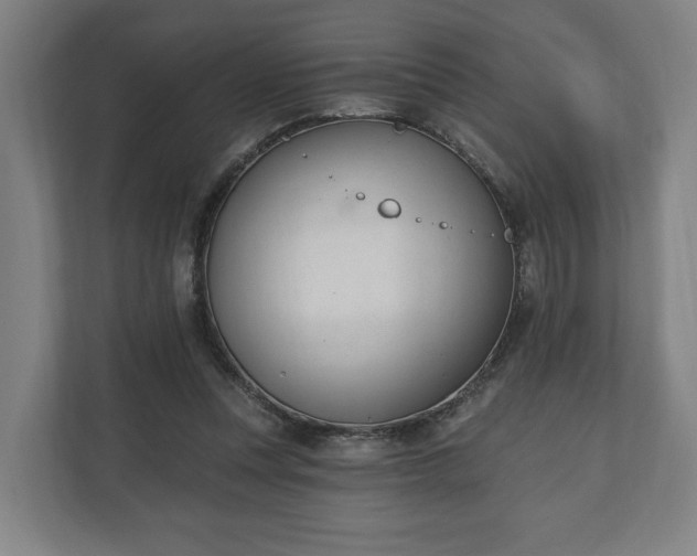 X0000110740351200906221033
