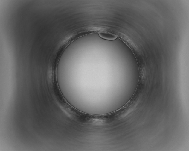 X0000110740352200906221033