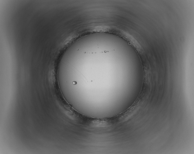 X0000110740354200906221033