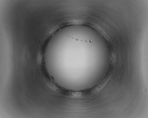 X0000110740355200906221033