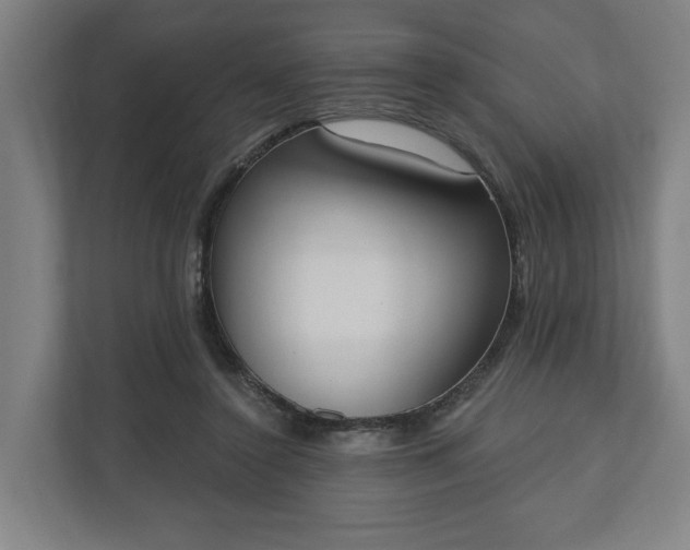 X0000110740356200906221033