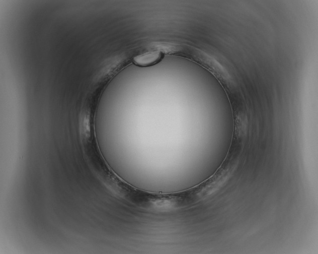 X0000110740358200906221033
