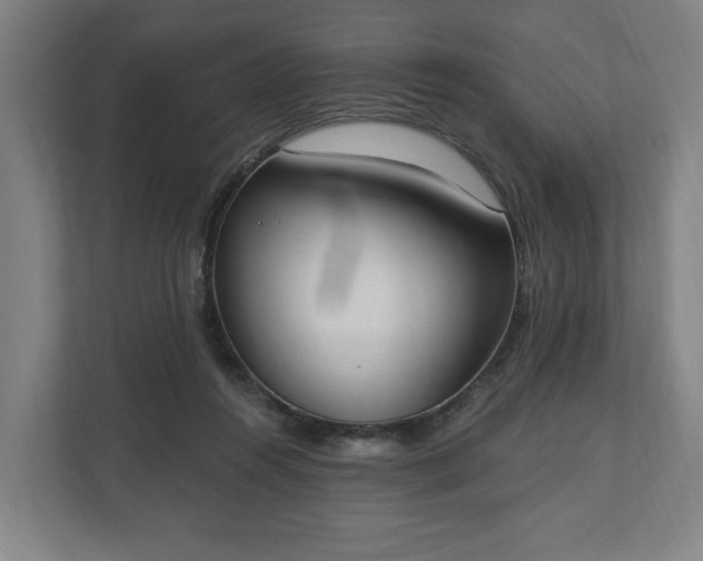 X0000110740360200906221033