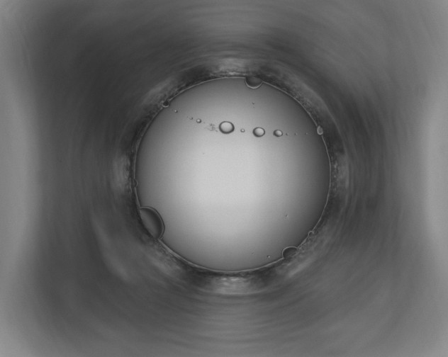 X0000110740361200906221033