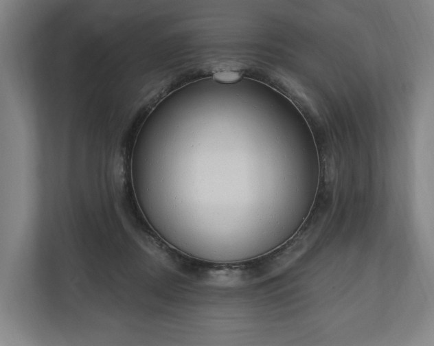 X0000110740362200906221033