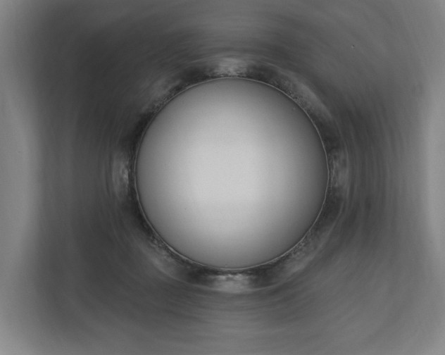 X0000110740363200906221033