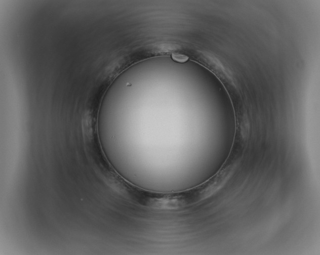 X0000110740366200906221033