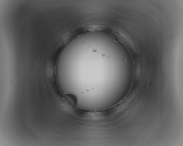 X0000110740367200906221033