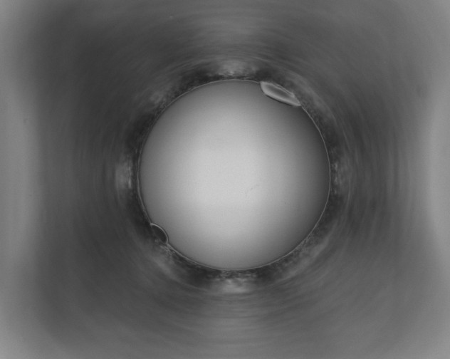 X0000110740368200906221033