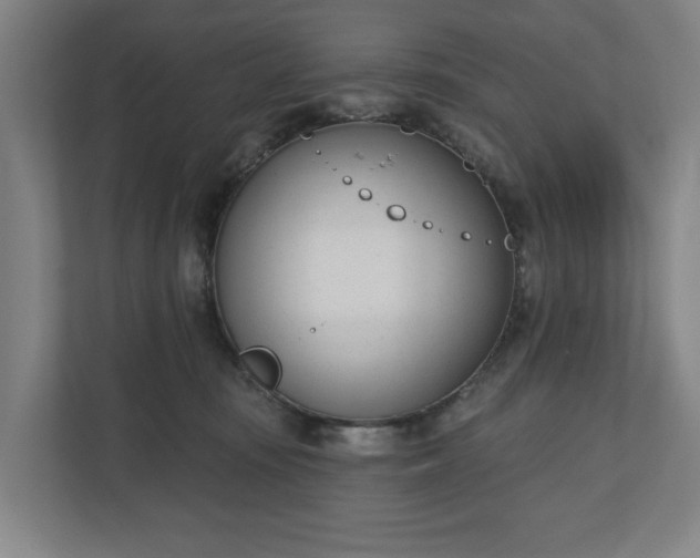 X0000110740371200906221033
