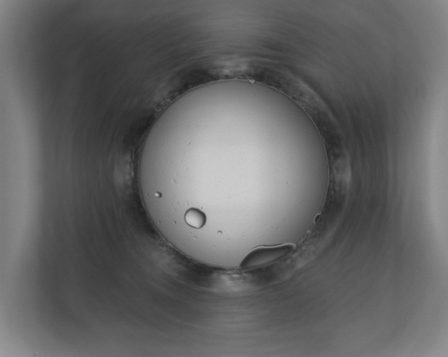 X0000110740372200906221033