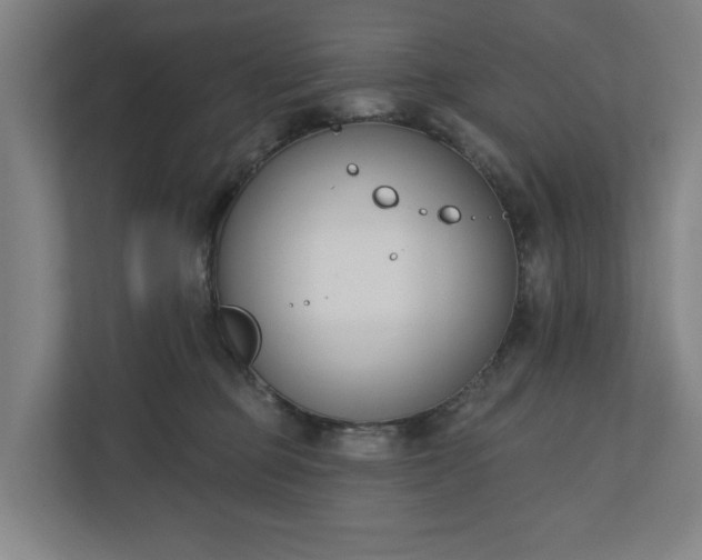 X0000110740373200906221033