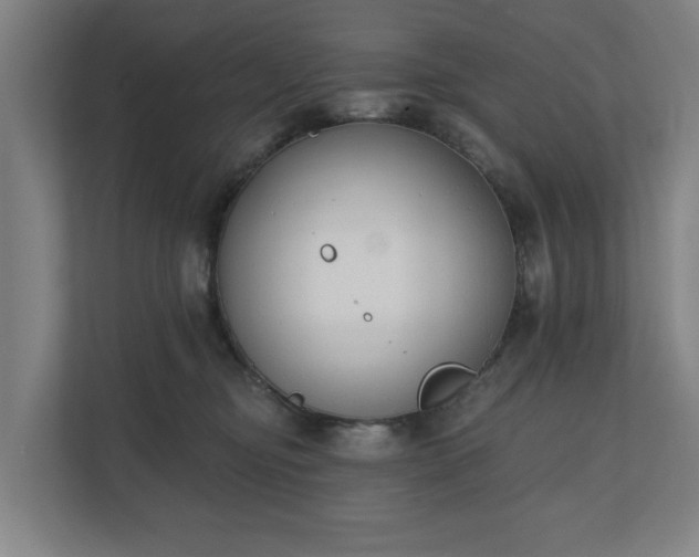 X0000110740374200906221033