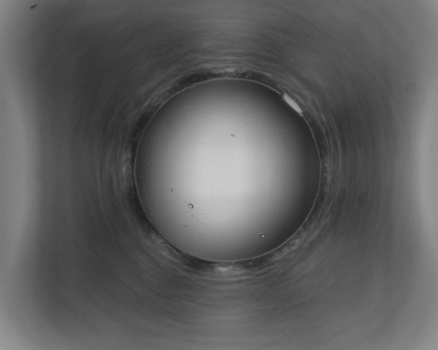 X0000110740376200906221033