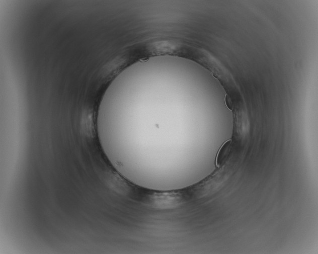 X0000110740378200906221033