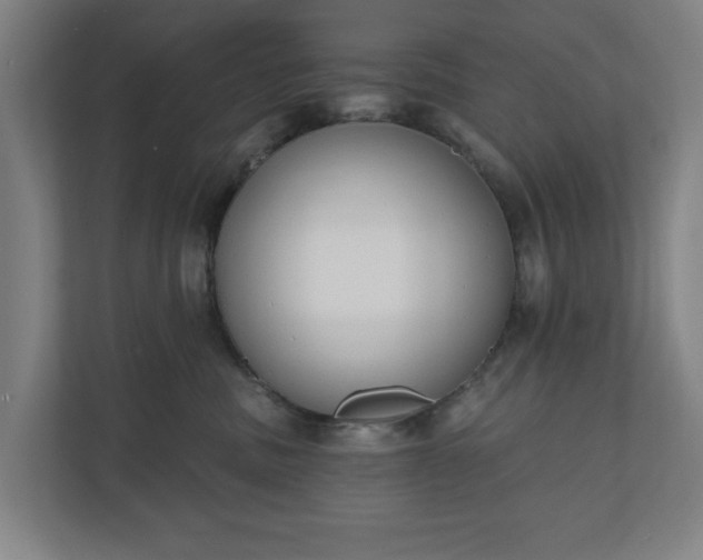 X0000110740379200906221033