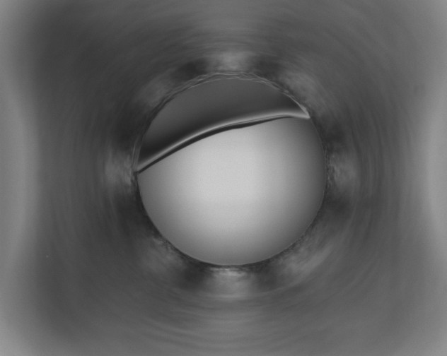 X0000110740380200906221033