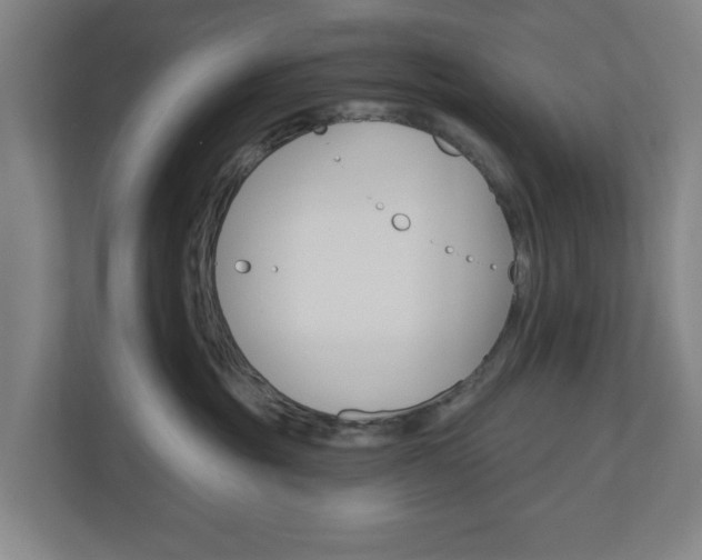 X0000110740381200906221033