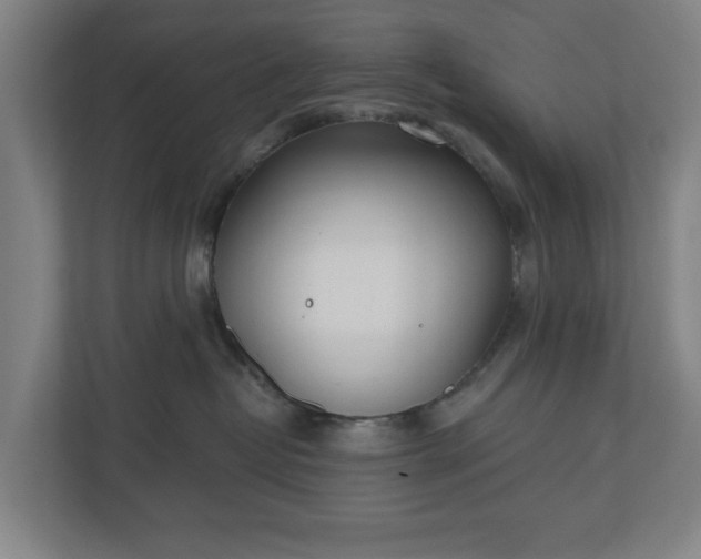 X0000110740382200906221033