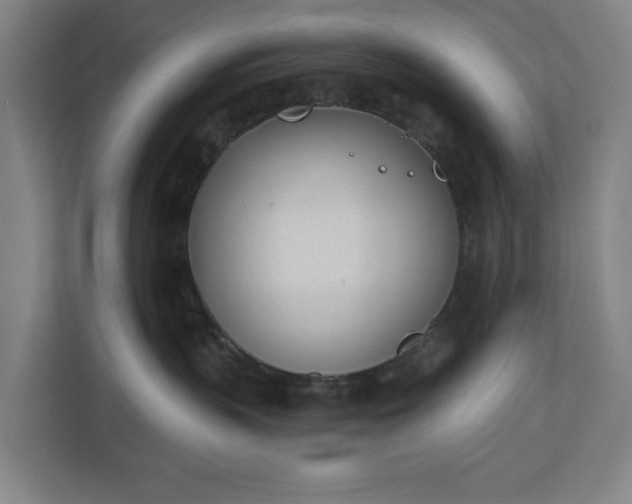 X0000110740383200906221033