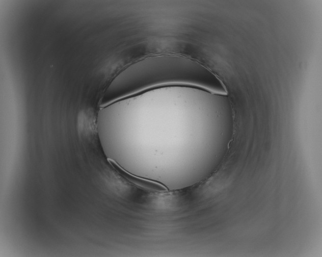 X0000110740384200906221033