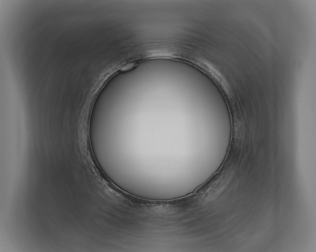 X0000110740385200906221033