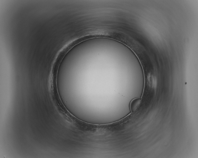 X0000110740388200906221033