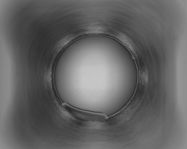 X0000110740389200906221033