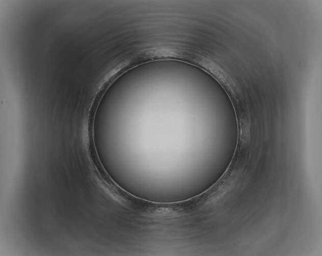 X0000110740390200906221033