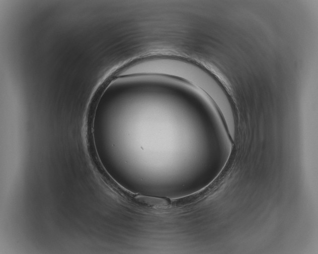 X0000110740391200906221033