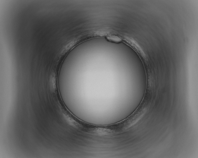 X0000110740393200906221033