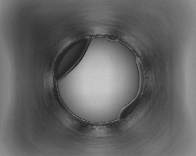 X0000110740395200906221033