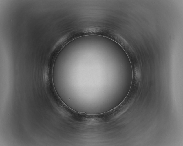 X0000110740396200906221033