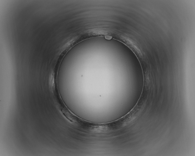 X0000110740398200906221033