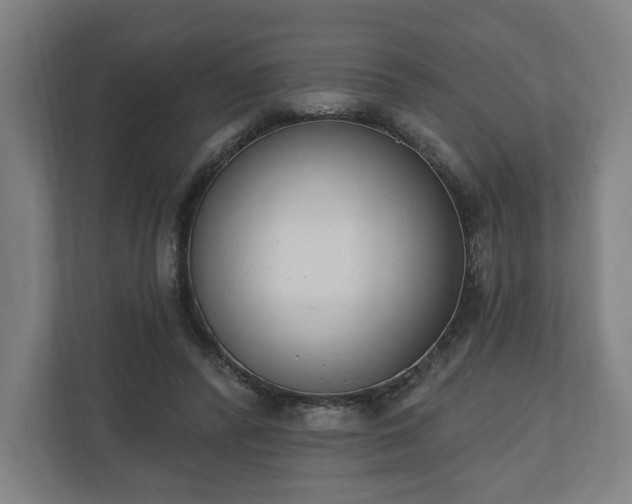 X0000110740400200906221033