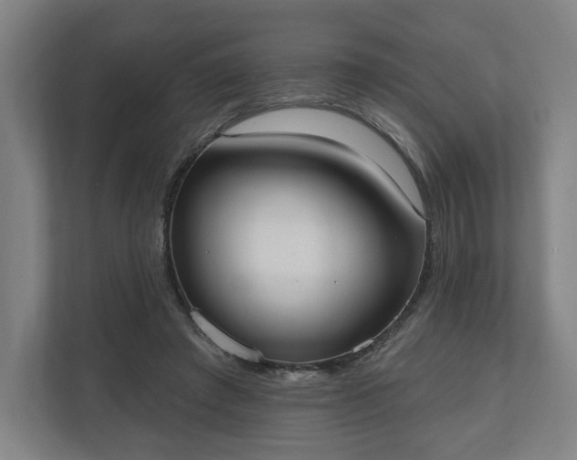 X0000110740401200906221033