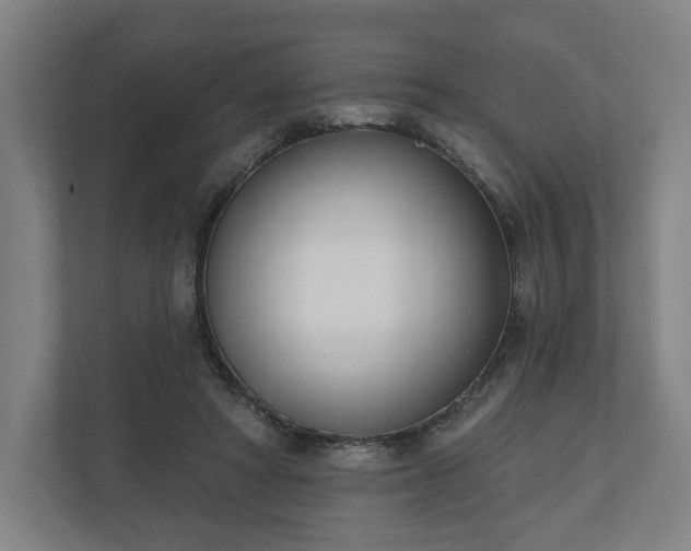 X0000110740402200906221033