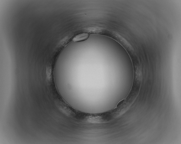 X0000110740403200906221033